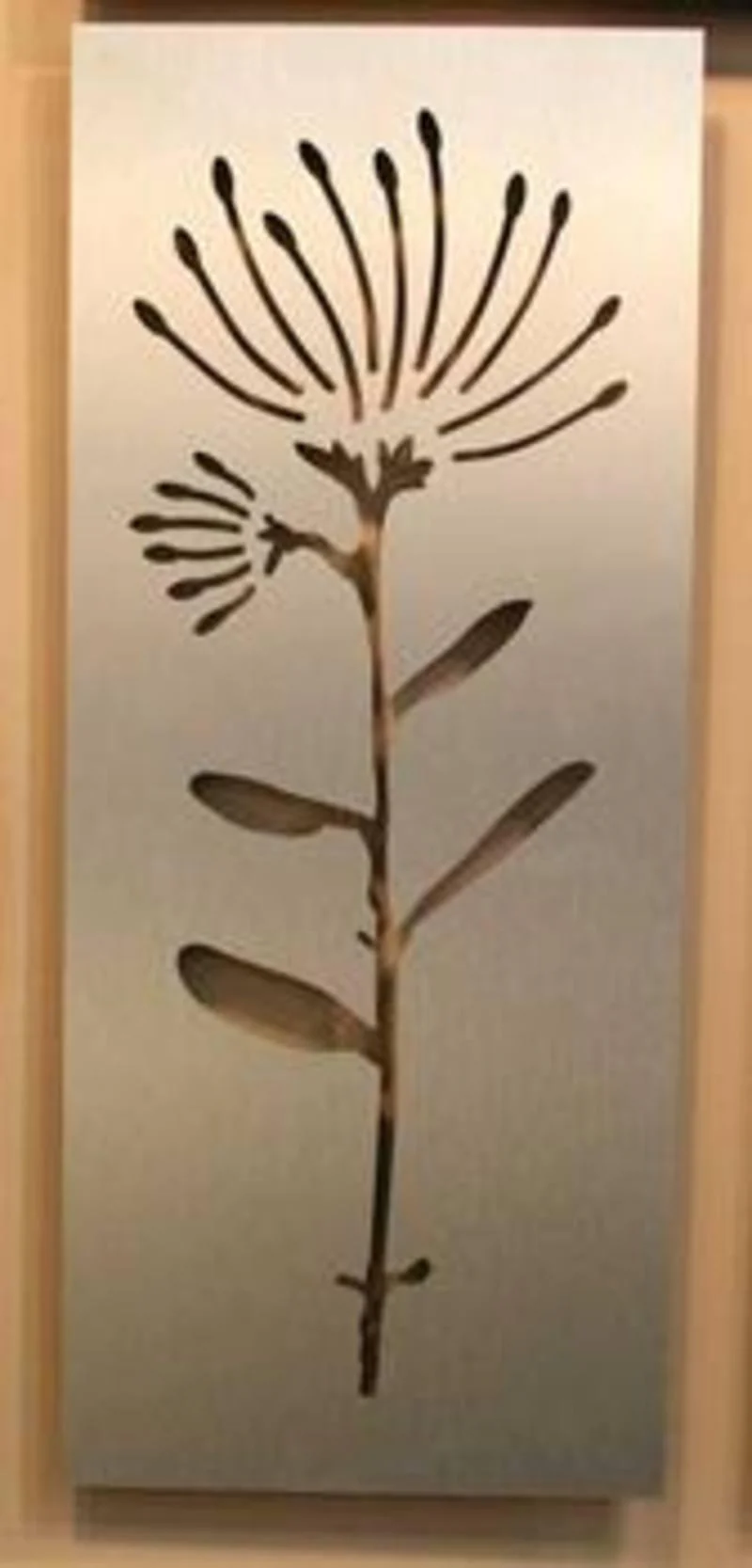Pohutukawa Flower Aluminium Panel